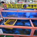 지영이네 활어 이미지