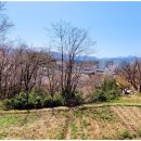 강릉 탑 공인중개사사무소 이미지