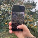 우산정사한옥민박 | 안동 여행 추천 - 부용대 전망, 하회마을 가는 법 | 셔틀버스 대신 도보 후기