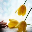 마음엔뜰 이미지