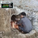 비인세탁소 이미지