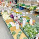 법이네 야채가게 이미지