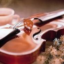 청운노인대학 이미지