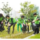 카페정화 이미지