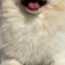 겟풀(GETPOOL) 이미지