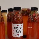 달콤씨 이미지