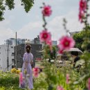 송현공원 이미지