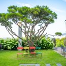 내림 펜션 이미지