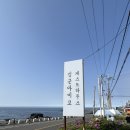 제주 애월 게스트하우스[김군아미고게스트하우스]도미토리숙박후기