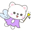 아나조이 네이버블로그