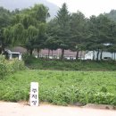 수항초 이미지