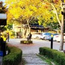 맛고을한식 이미지