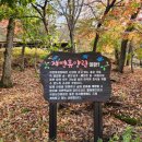 수레의산자연휴양림 이미지