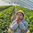 유봉2농장 이미지