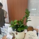 뽀도기 네이버블로그