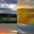 대로(주)1-1-2 이미지