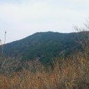 사리밤티재 이미지