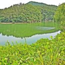 큰길주유소 이미지