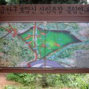 호암산잣나무산림욕장 네이버블로그