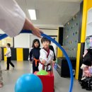 강서비룡태권도 이미지