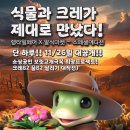 네스트주 이미지