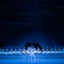 국립발레단 ’백조의 호수’ 이미지