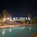 (영)제주친환경 | 에코그린리조트 18평 객실 리뉴얼 후기 아이랑 가기 좋은 친환경 그린키 인증 제주 한림 가성비 호텔