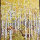 자작나무 이미지