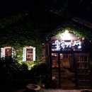 숲속의 섬 이미지