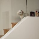 오션스테이 A 이미지