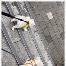 나랑애견유치원 이미지