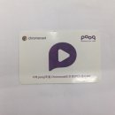 pooq 두달 이용권 추첨 이벤트! 이미지