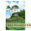 영진카써비스 | <양양 펜션 추천> 양양스테이나무키즈독채풀빌라 아이와 부모 모두 만족한 휴식 공간