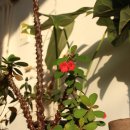 힐링 세라믹도자기 만들기 이미지