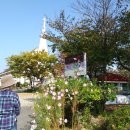 무지개교회 앞 이미지