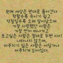 청양친환경블루베리농장 이미지