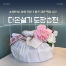 다온 건축사사무소 | 선물로 제격인 다온설기 도장송편 주문 및 종로점 픽업 후기