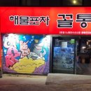 두꺼비포차 이미지