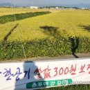 춘포면-13 이미지