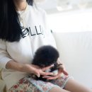 블랙파티 이미지