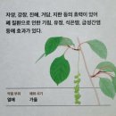 산청 동의 보감촌 엑스포주제관 무릉교 - 방문후기