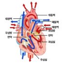 참조은병원 이미지