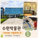 3월 시민을 위한 무료영화 | 수원 아이와 가볼만한곳 수원박물관 후기｜주차 무료·어린이체험실·미디어놀이터