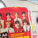 뽀글뽀글라면 | 팔도 틈새라면 입문용 후기 (별로 안매움)