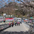 화개농원 이미지