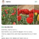 강원도 횡성 둔내 대형카페 ‘산일리오’ 방문 후기 (애견 동반 이용 수칙)