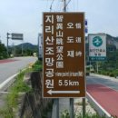 추성주유소