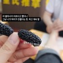 희다방 - 청송군 구산동로 40-1 | 옌타이 할 거 추천 13 (혼자여도 괜찮아)