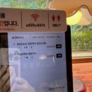 도원역 1번출구 앞  횡단보도 | 판교역맛집 한식!