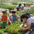 이상문농장 이미지